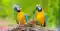 Interkulturelles Training Brasilien